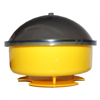 Piège à insectes pour mouches, guêpes, etc.